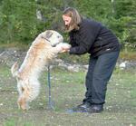 108_000.jpg