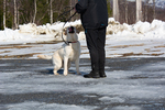 DSC_0006n.jpg