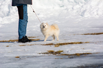 DSC_0012.jpg