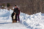DSC_0026.jpg
