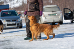 DSC_0028.jpg