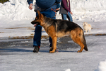 DSC_0032.jpg