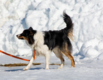 DSC_0040.jpg