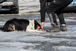 DSC_0055.jpg