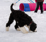 DSC_0056.jpg