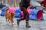 DSC_0501.jpg