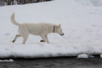 DSC_0762.jpg