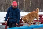 DSC_0876.jpg
