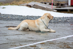 DSC_0025.jpg