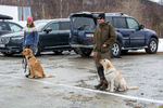 DSC_0035.jpg