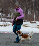 DSC_0071.jpg