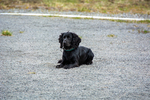 DSC_0025.jpg