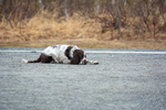 DSC_0029n.jpg