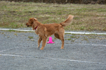 DSC_0067.jpg