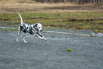 DSC_0090.jpg