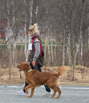 DSC_0104.jpg