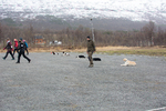 DSC_0173.jpg