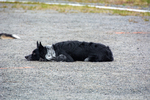 DSC_0176.jpg
