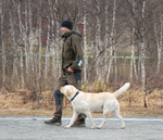 DSC_0192.jpg