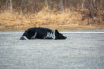 DSC_0225.jpg