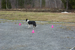 DSC_0254.jpg