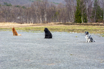 DSC_0320.jpg