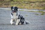 DSC_0323.jpg