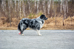 DSC_0345.jpg
