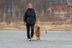 DSC_0382.jpg