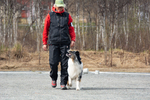 DSC_0442.jpg
