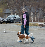 DSC_0453.jpg