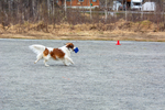 DSC_0463.jpg