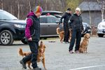DSC_0513.jpg