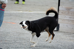 DSC_0567.jpg