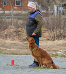 DSC_0587.jpg