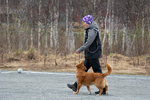 DSC_0616.jpg