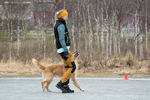 DSC_0673.jpg