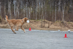DSC_0688.jpg