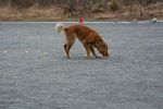 DSC_0727.jpg