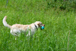 DSC_0151.jpg