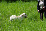 DSC_0212.jpg