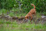 DSC_0345.jpg