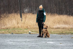 DSC_0014.jpg