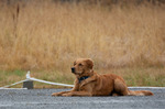 DSC_0017.jpg