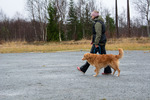 DSC_0052.jpg