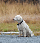 DSC_0071.jpg