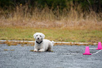 DSC_0121.jpg