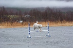 DSC_0125.jpg