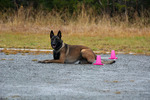 DSC_0144.jpg