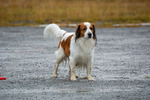 DSC_0164.jpg